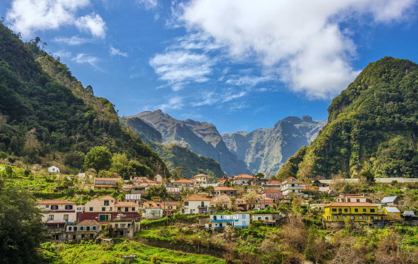 rural-madeira-in-the-sun